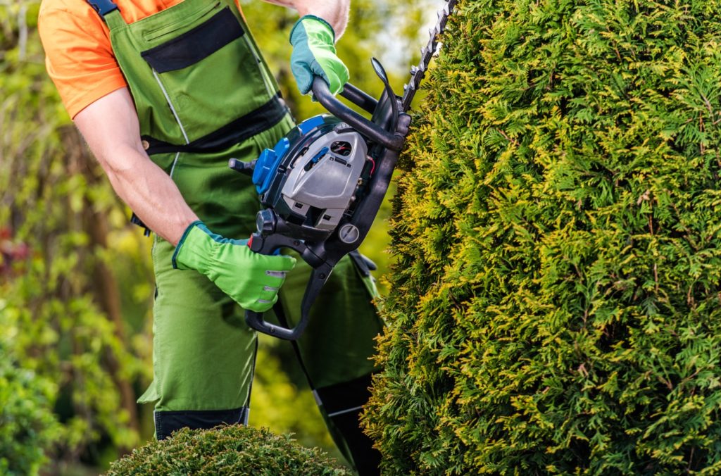 gardener-topiary-job-2021-08-26-23-04-56-utc